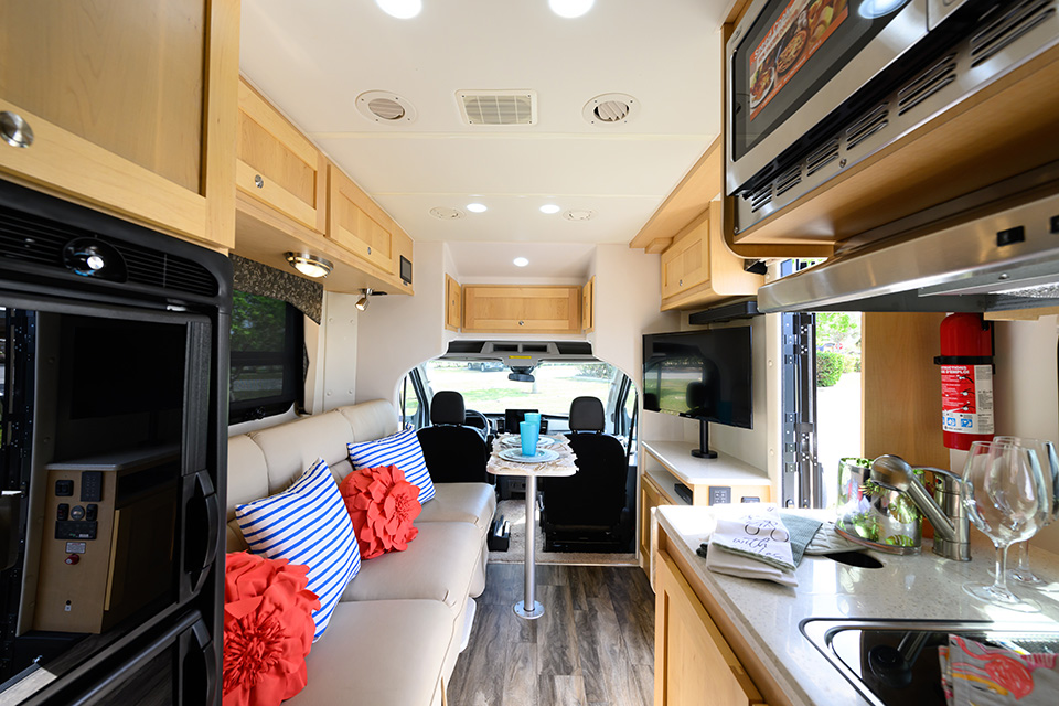 Platinum III 250 Interior View Facing Door